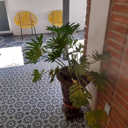 Estudio #5 Casa Fatima, 8 Min Del Centro 1 Persona Guadalajara Bagian luar foto