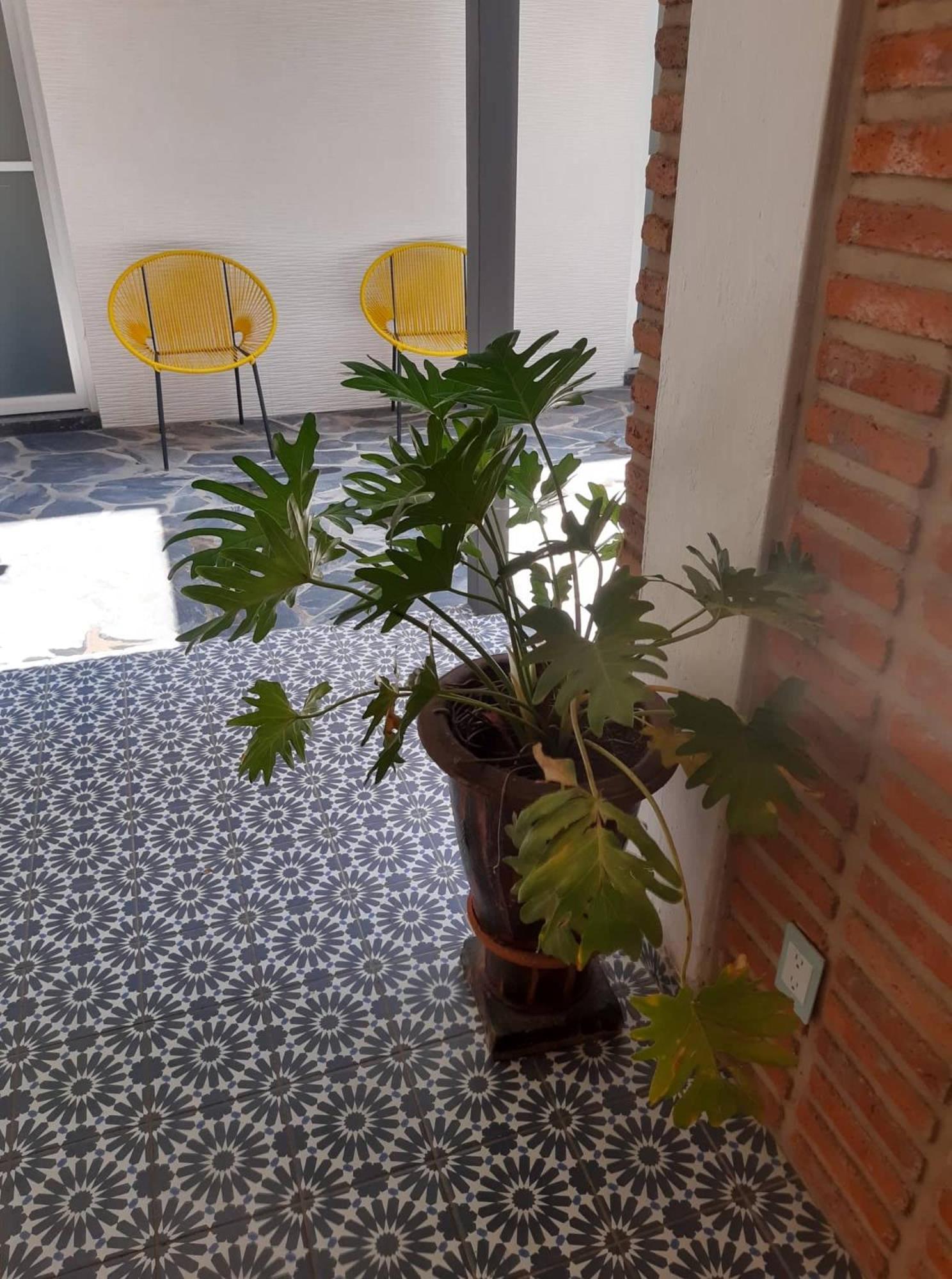 Estudio #5 Casa Fatima, 8 Min Del Centro 1 Persona Guadalajara Bagian luar foto